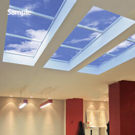 Sky ceiling for suspended ceilings