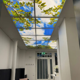 Sky ceiling for suspended ceilings